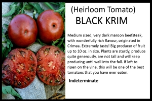 Tomato 'Black Krim'